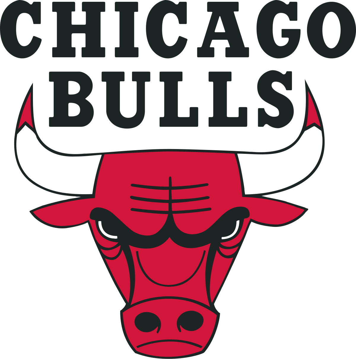 Chicago-Bulls AirVibes