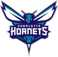 Charlotte-Hornets AirVibes